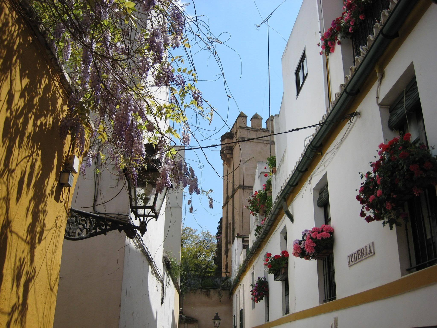 Barrio Santa Cruz Sevilla